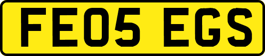 FE05EGS