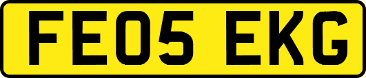 FE05EKG