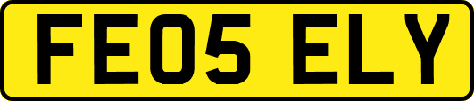 FE05ELY