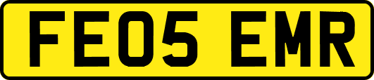 FE05EMR