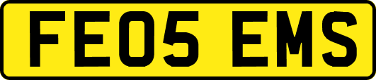 FE05EMS