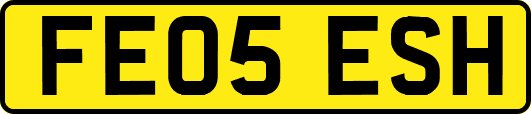 FE05ESH