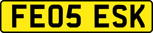 FE05ESK