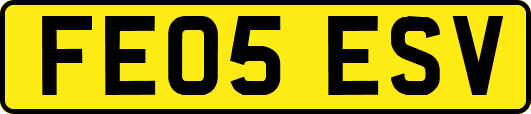 FE05ESV