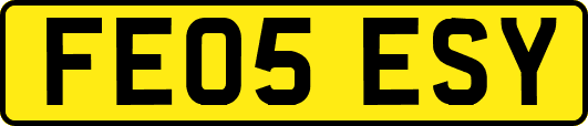 FE05ESY