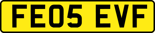 FE05EVF