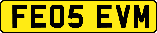 FE05EVM