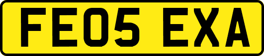 FE05EXA