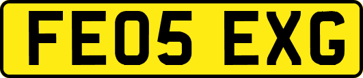 FE05EXG