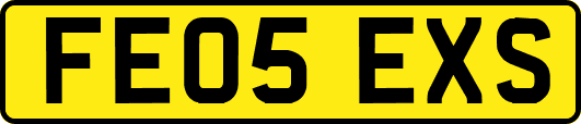 FE05EXS