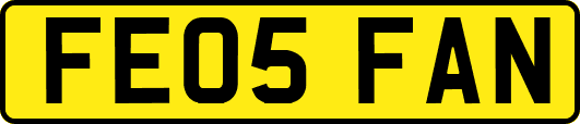 FE05FAN