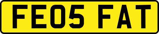 FE05FAT