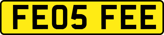FE05FEE