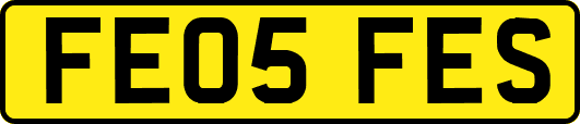 FE05FES