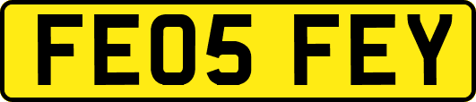 FE05FEY