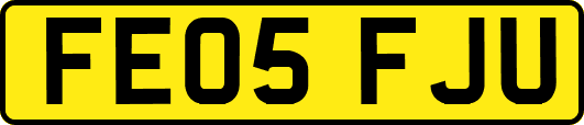 FE05FJU