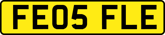 FE05FLE