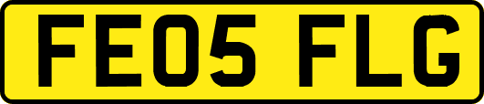 FE05FLG