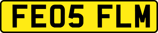 FE05FLM