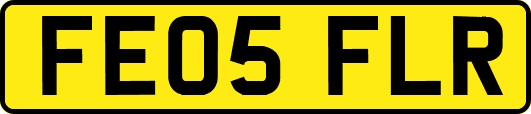 FE05FLR