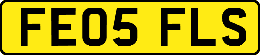 FE05FLS