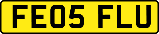 FE05FLU