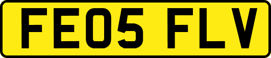 FE05FLV
