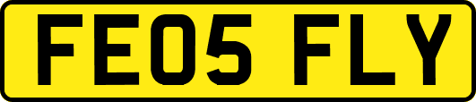 FE05FLY