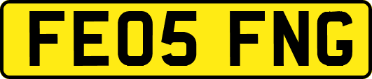 FE05FNG
