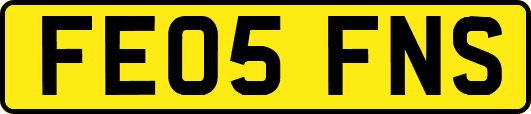 FE05FNS