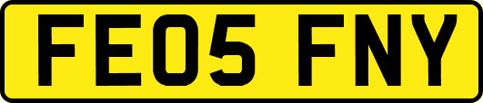 FE05FNY