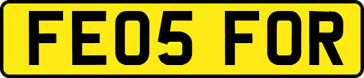 FE05FOR