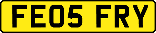 FE05FRY