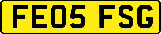 FE05FSG