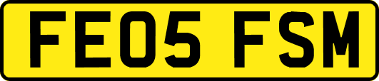 FE05FSM