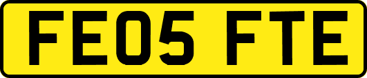 FE05FTE