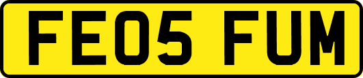 FE05FUM