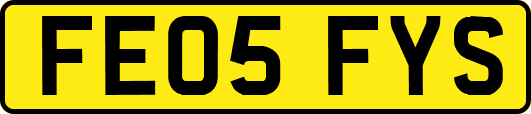 FE05FYS
