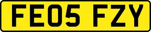 FE05FZY