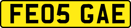 FE05GAE