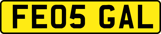 FE05GAL