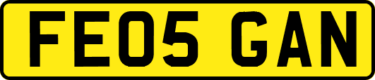 FE05GAN