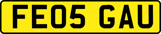 FE05GAU