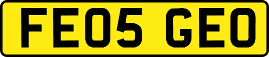 FE05GEO
