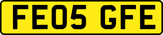FE05GFE