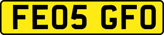 FE05GFO
