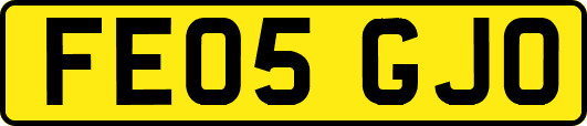 FE05GJO