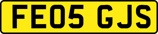 FE05GJS