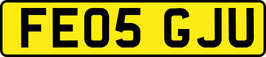 FE05GJU