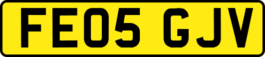 FE05GJV